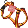 Arneses para perros nylon Bull España