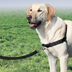 Arnés antitirones EasyWalk PetSafe Negro - Imagen 3
