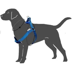Arnés Nylon UpDog Blau - Image 4