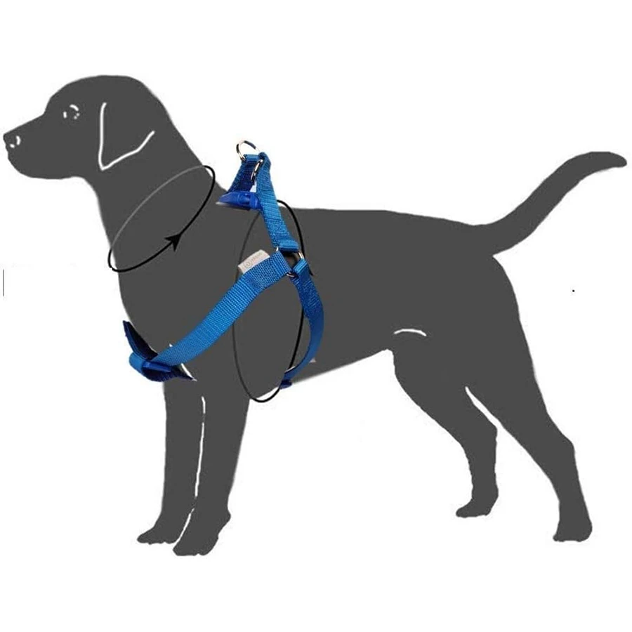 Arnés Nylon UpDog Blau - Image 4