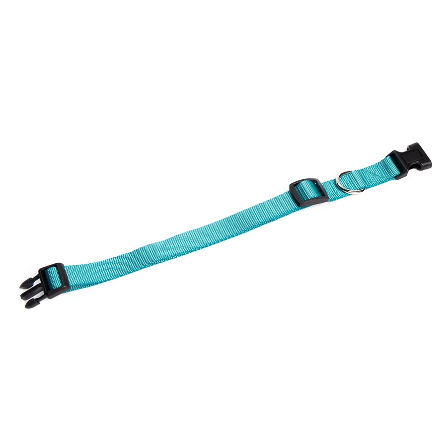 Collar Nylon UpDog Turquesa - Imagen 2