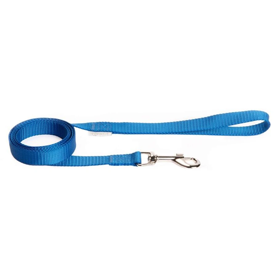 Nylon Updog Blue Dog Leash
