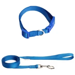 Blue Nylon UpDog Leash - Image 3