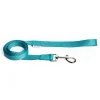 Turquoise Nylon Updog Dog Leash