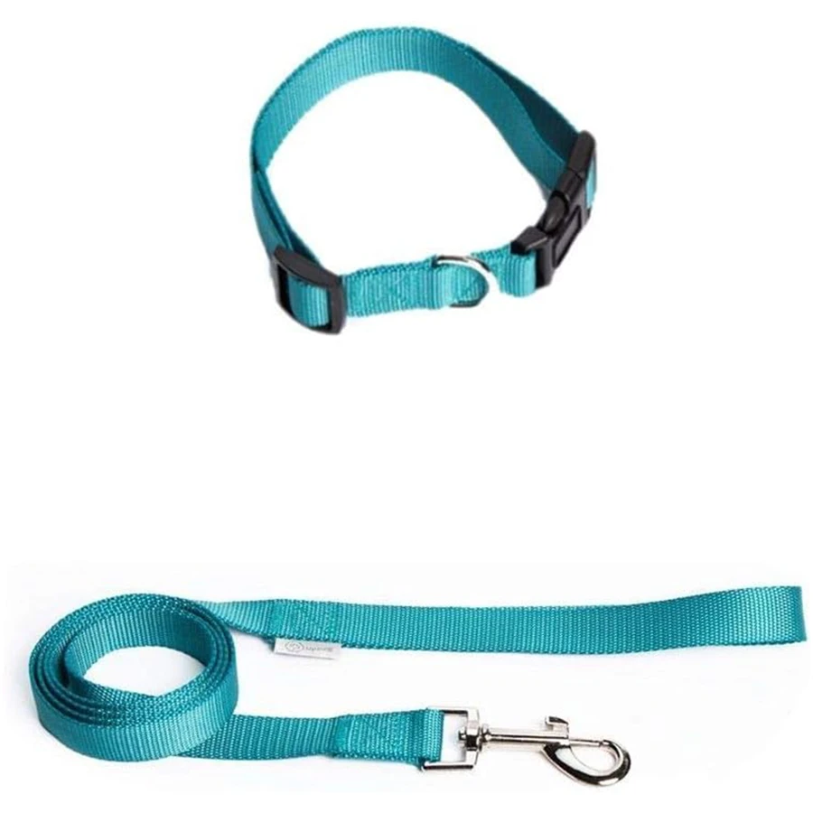 Correa Nylon UpDog Turquesa - Imagen 3