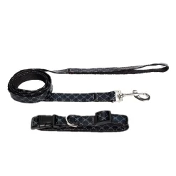 Collar UpDog de Diseño Negro - Imagen 5