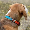 Collar para perro de cuero hecho a mano en España Rumba Maasai