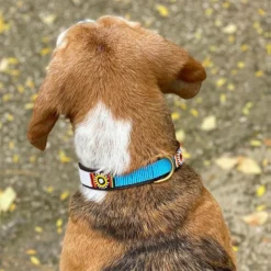Collar de cuero hecho a mano en España Maasai Rumba - Imagen 2