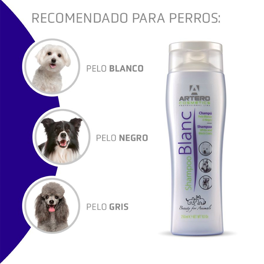 Champú Artero Blanc 250ML - Imagen 2