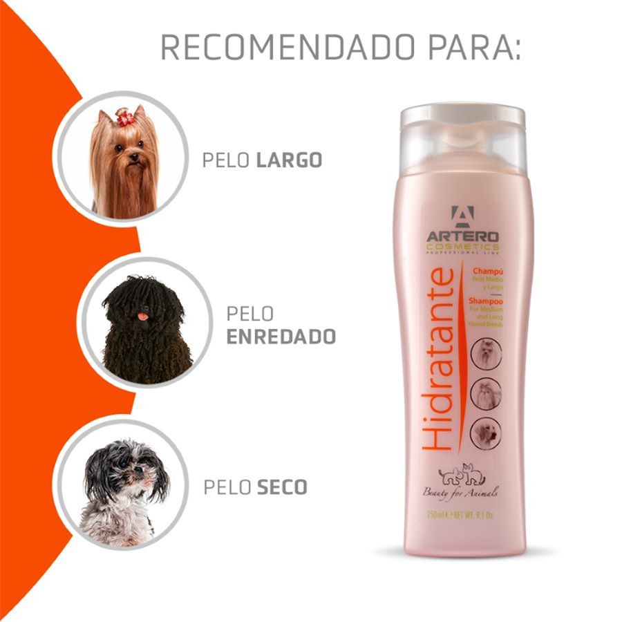 Champú Artero Hidratante 250ml - Imagen 2
