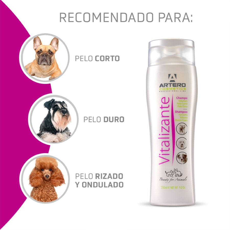 Champú Artero Vitalizante 250ML - Imagen 2