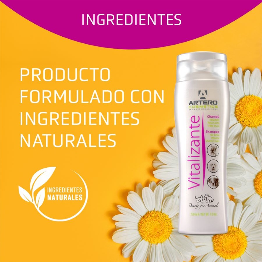 Champú Artero Vitalizante 250ML - Imagen 4
