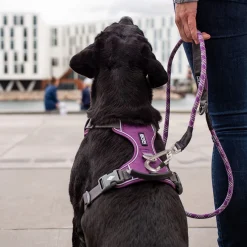 Arnés Dog Copenhagen Comfort Walk Pro Negro - Imagen 6