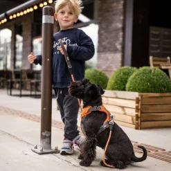 Arnés Dog Copenhagen Comfort Walk Pro Negro - Imagen 8