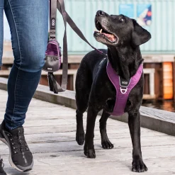 Arnés Dog Copenhagen Comfort Walk Pro Negro - Imagen 10