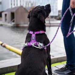 Arnés Dog Copenhagen Comfort Walk Air Blanco - Imagen 6