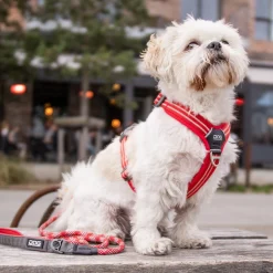 Arnés Dog Copenhagen Comfort Walk Air Blanco - Imagen 9