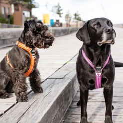 Arnés Dog Copenhagen Comfort Walk Air Blanco - Imagen 12
