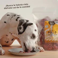 Dieta BARF Wild Balance Menú Pollo - Imagen 7