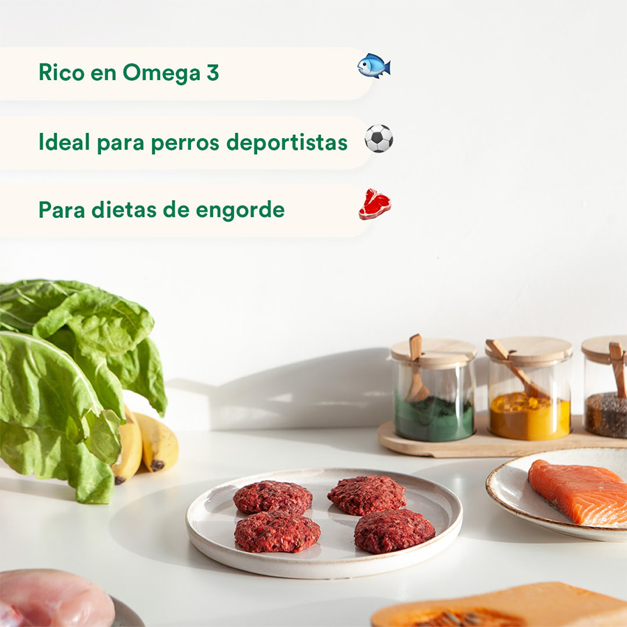 Dieta BARF Wild Balance Menú Salmón - Imagen 3