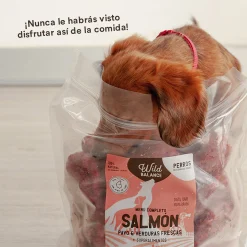 Dieta BARF Wild Balance Menú Salmón - Imagen 7
