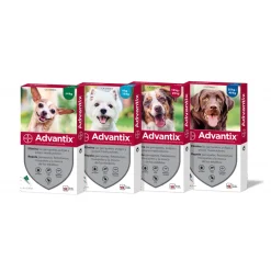 Pipeta Antiparasitaria Advantix Triple Protección De 0 a 4 Kg - Imagen 2