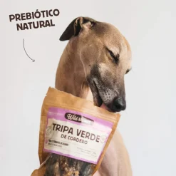 Tripa Verde de Cordero Wild Balance 80gr - Imagen 2
