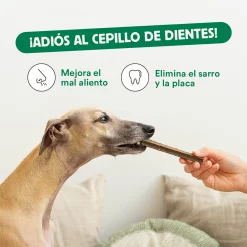 Stick Dental Wild Balance 112g - Imagen 2