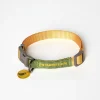 Collar per a gos de nylon The Painter's Wife verd i groc