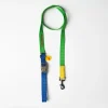 The Painter's Wife green nylon dog leash