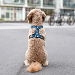 Arnés Dog Copenhagen Comfort Walk Air Azul - Imagen 6