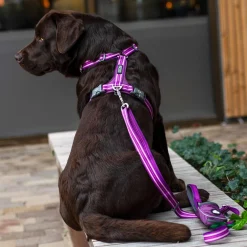 Arnés Dog Copenhagen Comfort Walk Air Lila - Imagen 5