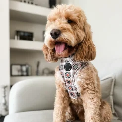 Arnés Ajustable Poppy + Ted Grandma's House - Imagen 4