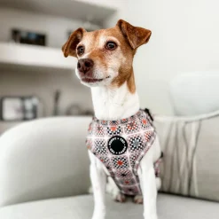 Arnés Ajustable Poppy + Ted Grandma's House - Imagen 5