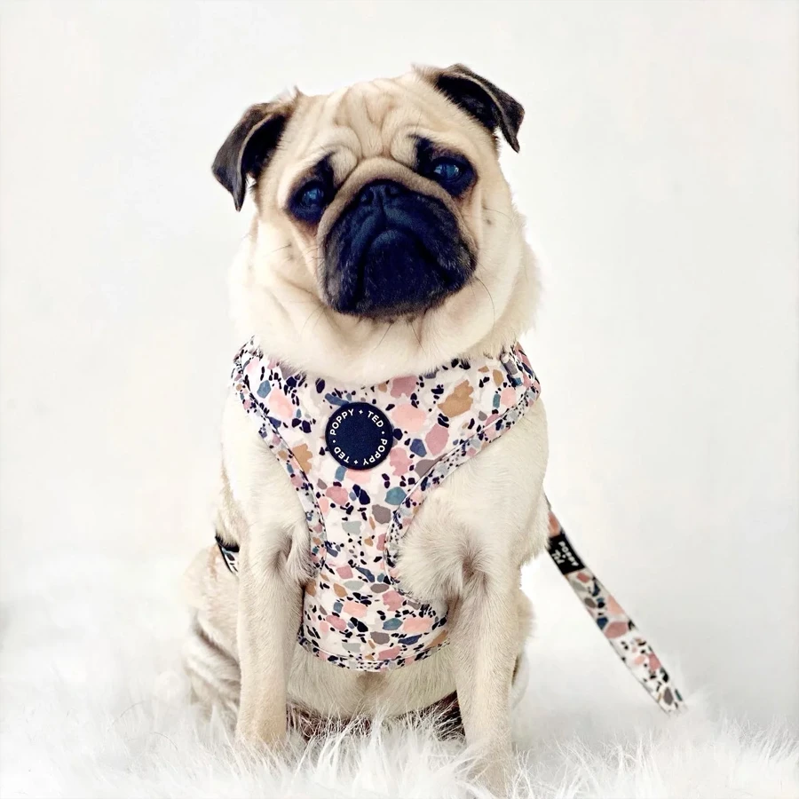 Arnés Ajustable Poppy + Ted Party Pup - Imagen 2