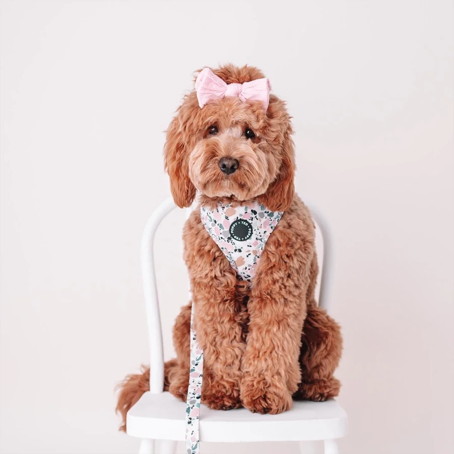 Arnés Ajustable Poppy + Ted Party Pup - Imagen 6