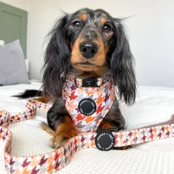 Arnés Ajustable Poppy + Ted Cinnamon Spice Houndstooth - Imagen 4