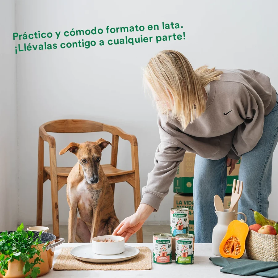 Comida húmeda BARF en Lata Wild Balance Ragut Tradicional Ternera y Pollo 400g - Imagen 5