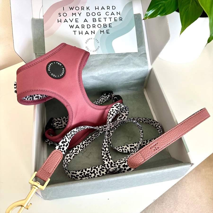 Correa Poppy + Ted Berry Dalmatian - Imagen 2