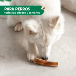 Mordedor Palo Madera de Olivo - Imagen 4