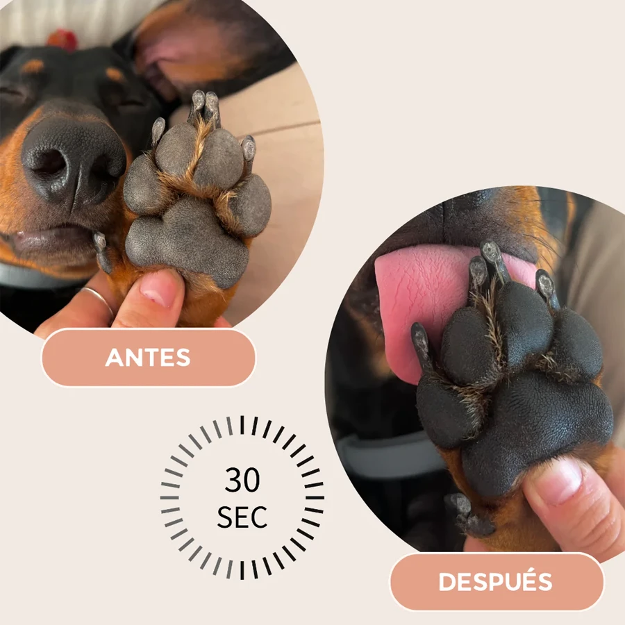 Crema reparadora para almohadillas, hocico y zonas secas Masco Beauty - Imagen 5