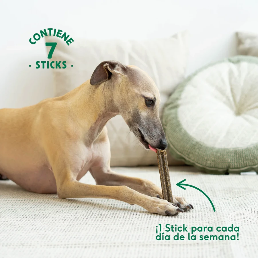 Stick Dental Estómagos Sensibles Wild Balance 100g - Imagen 5