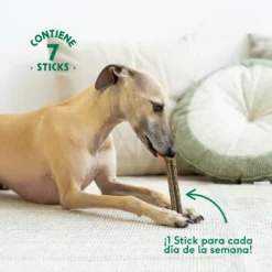 Stick Dental Relajante Wild Balance 100g - Imagen 5