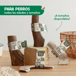 Asta de Ciervo partida - Imagen 3