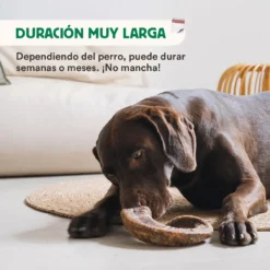 Cuerno de cabra - Imagen 3