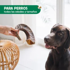 Cuerno de cabra - Imagen 4