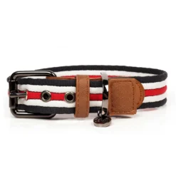Collar para perro Heritage