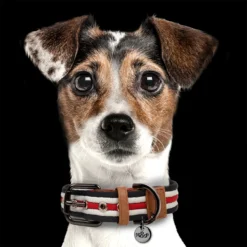Collar ajustable Milk & Pepper Heritage - Imagen 4