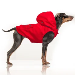 Abrigo impermeable Babord Rojo - Imagen 3