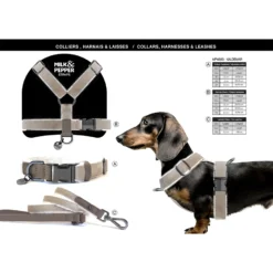 Alternative view of Collar ajustable Milk & Pepper Valdemar Beige
